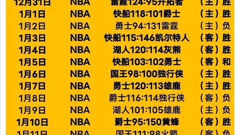 猛龙常规赛力克奇才
