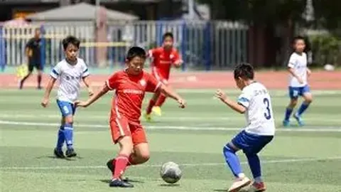 澳超榜首对决：奥克兰主场专家质合分析前区十码推荐